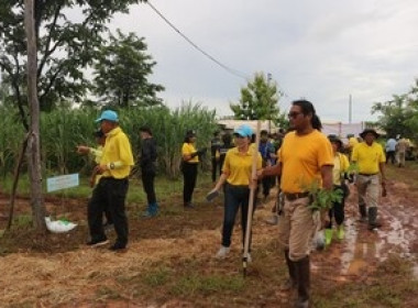 จัดกิจกรรมปลูกป่าเฉลิมพระเกียรติพระบาทสมเด็จพระเจ้าอยู่หัว ... พารามิเตอร์รูปภาพ 11